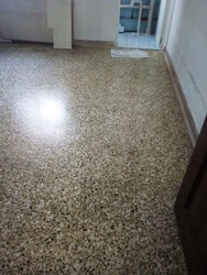 Blk 32 Cassia Crescent (Geylang), HDB 3 Rooms #176439452